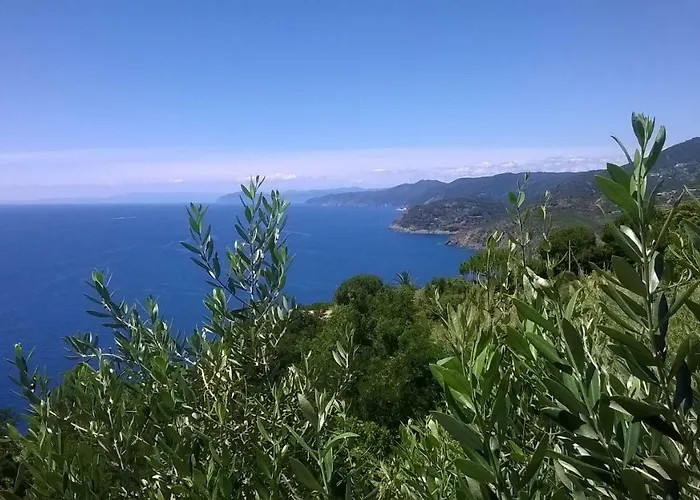 Otel La Giada Del Mesco 3*